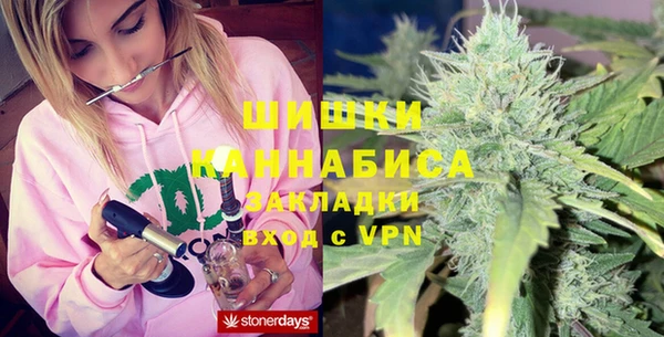 стаф Новозыбков
