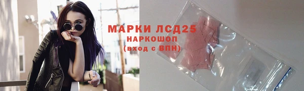 стаф Новозыбков