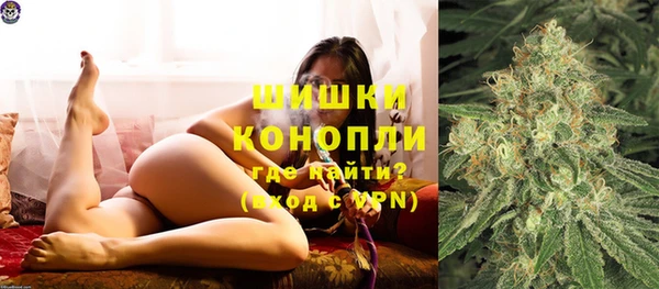стаф Новозыбков