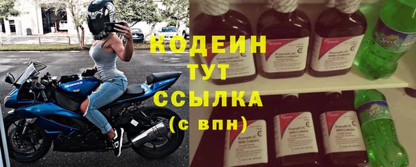 стаф Новозыбков