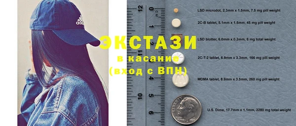 стаф Новозыбков
