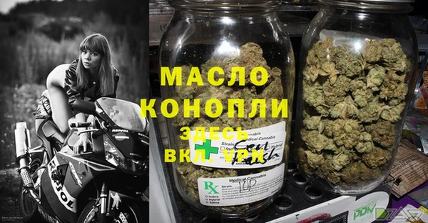 стаф Новозыбков
