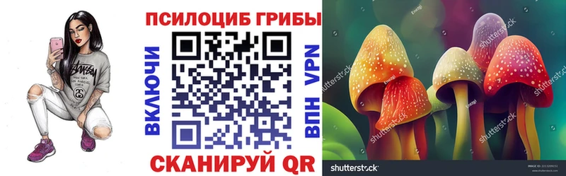 Псилоцибиновые грибы Psilocybine cubensis Тюмень